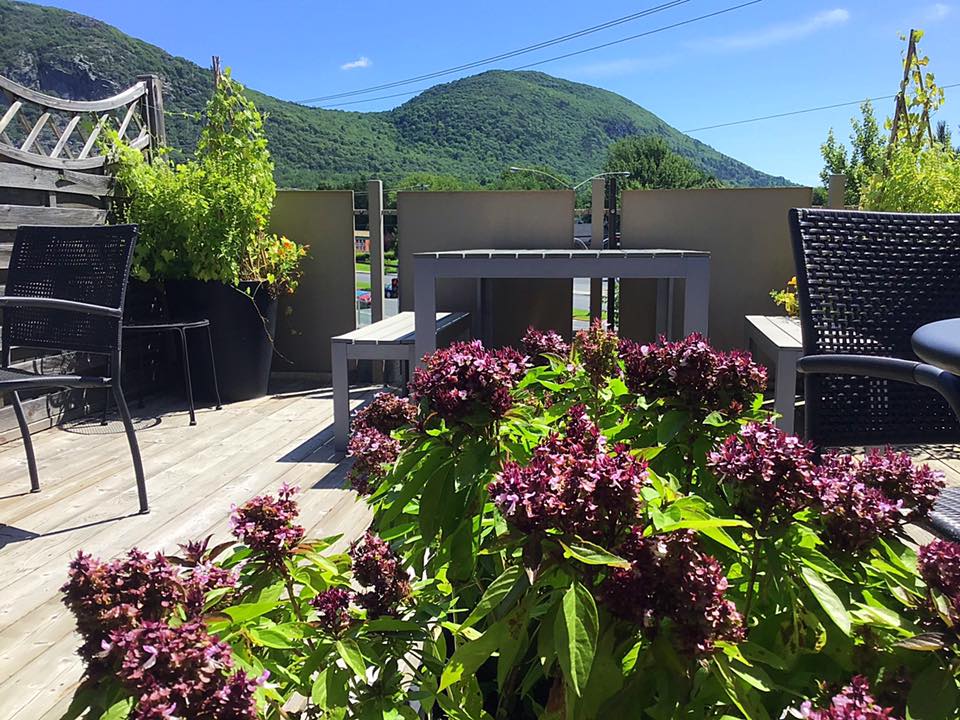 La terrasse à l'étage de l'Eau Vive