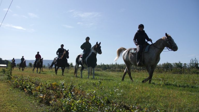 Randonnée à cheval du Centre d'équitation Nouvelle-France.