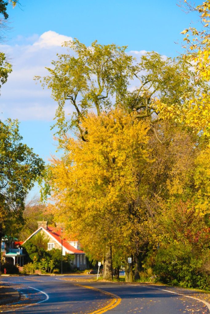 Village de Saint-Marc-sur-Richelieu