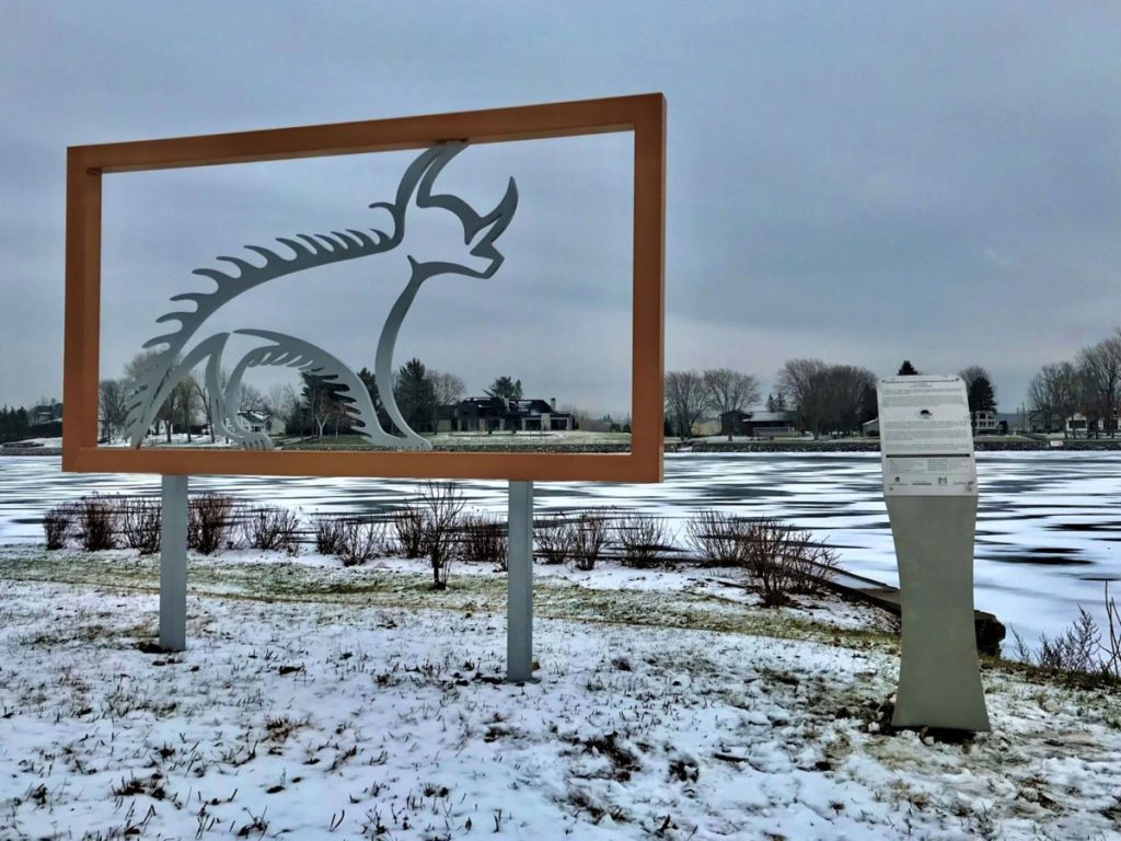 Tourisme-Vallee-du-Richelieu_Saint-Marc-sur-Richelieu_A.Michel_Carcajou