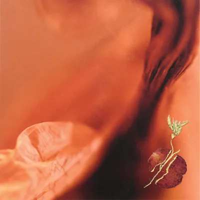 Chasse aux oeuvres 2025 - MRCVR