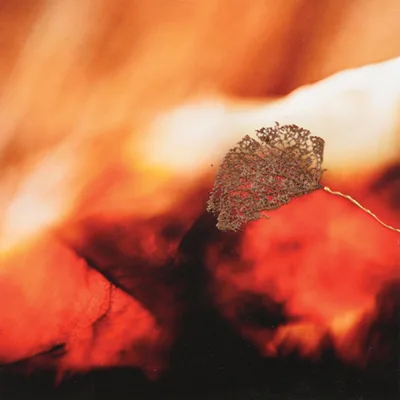 Chasse aux oeuvres 2025 - MRCVR