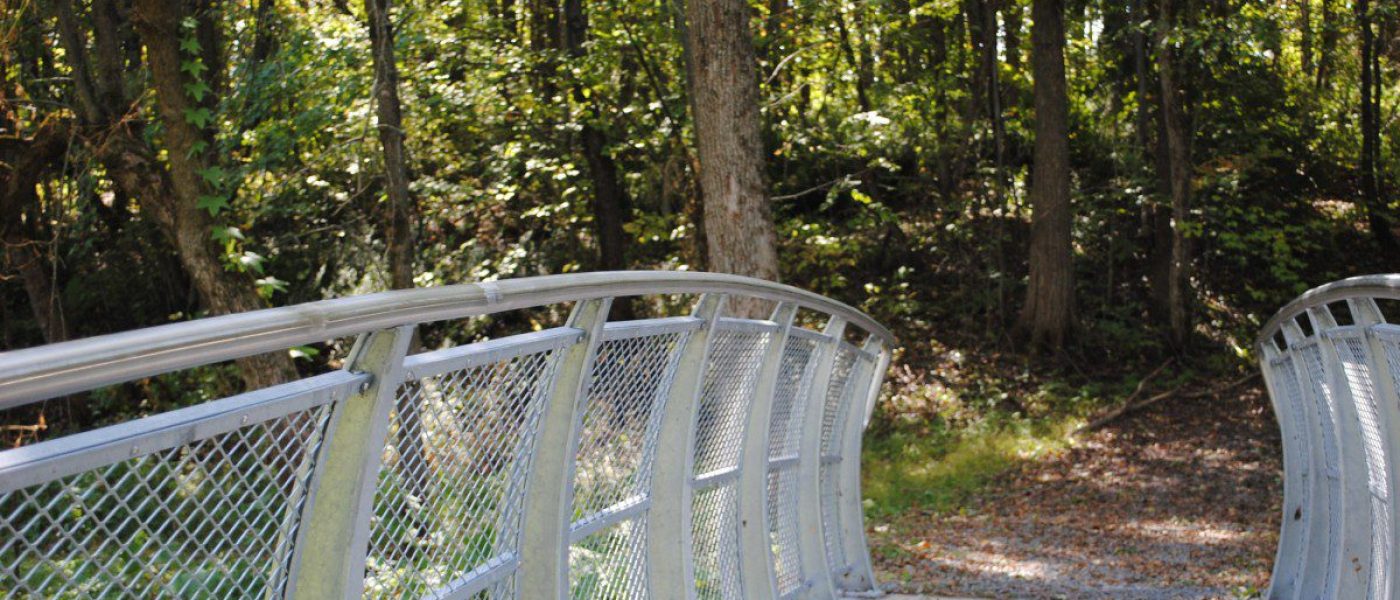 La passerelle du ruisseau Bernard.