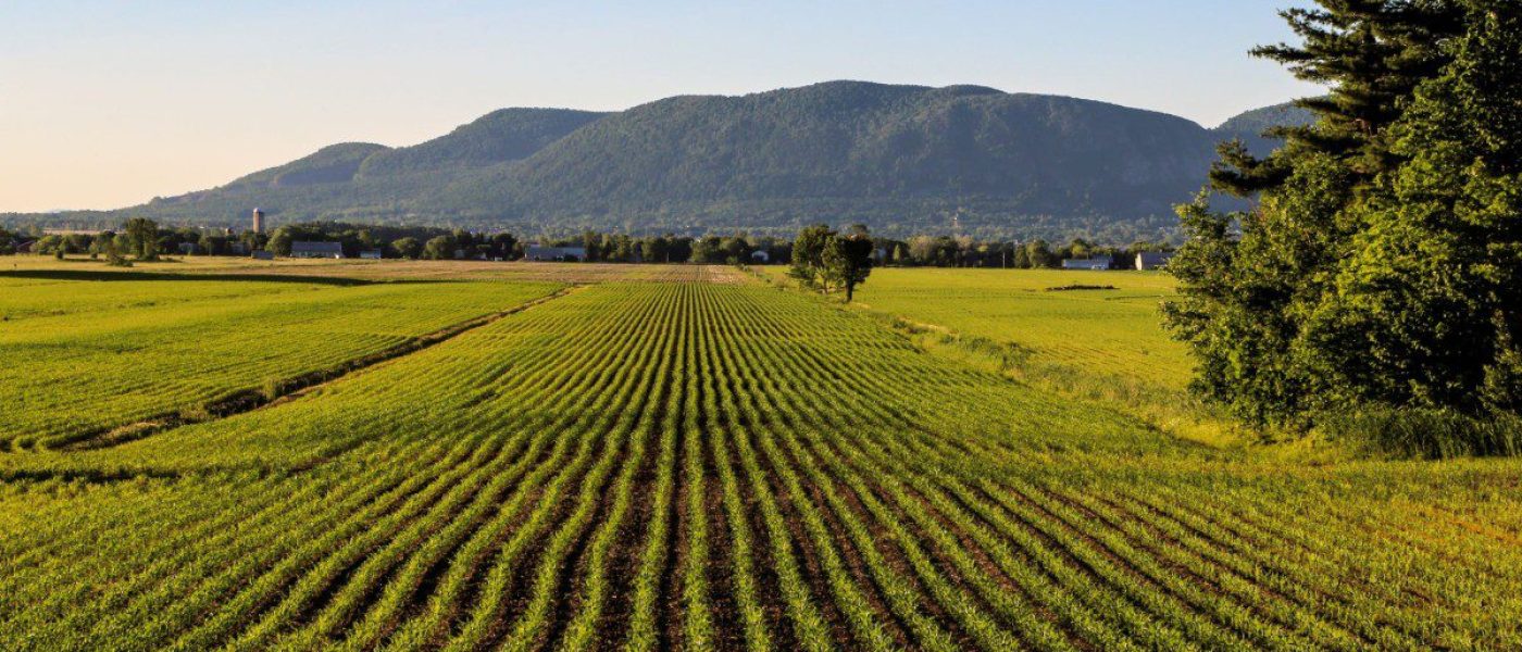 Champs à Saint-Mathieu-de-Beloeil