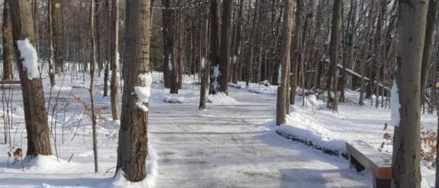 Sentier de glace du Parc Emond.